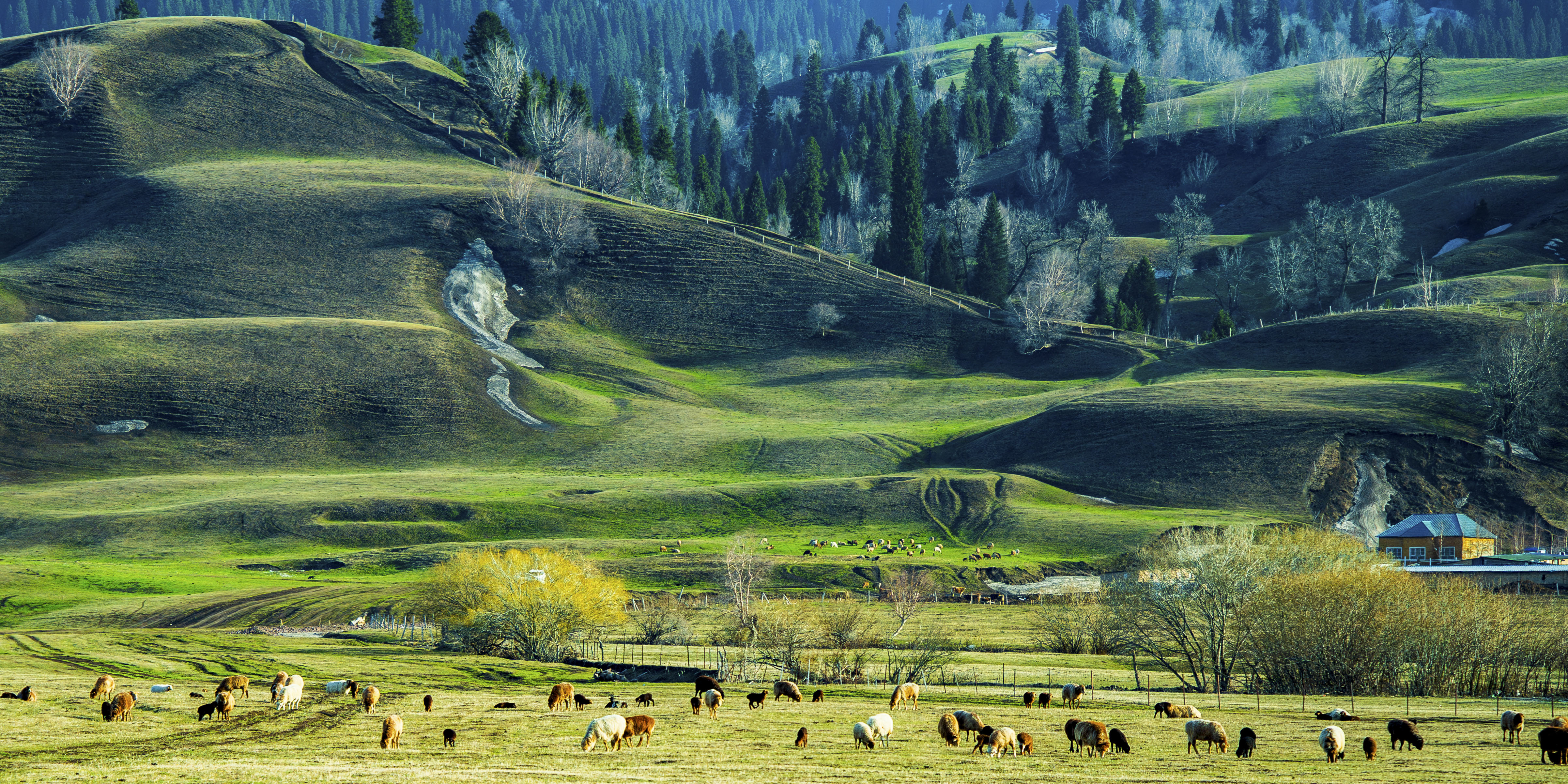 「聚焦光影中華 同繪青春未來」攝影大賽